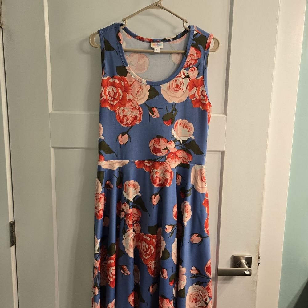 LuLaRoe Blue and Pink Floral Nicki Dress